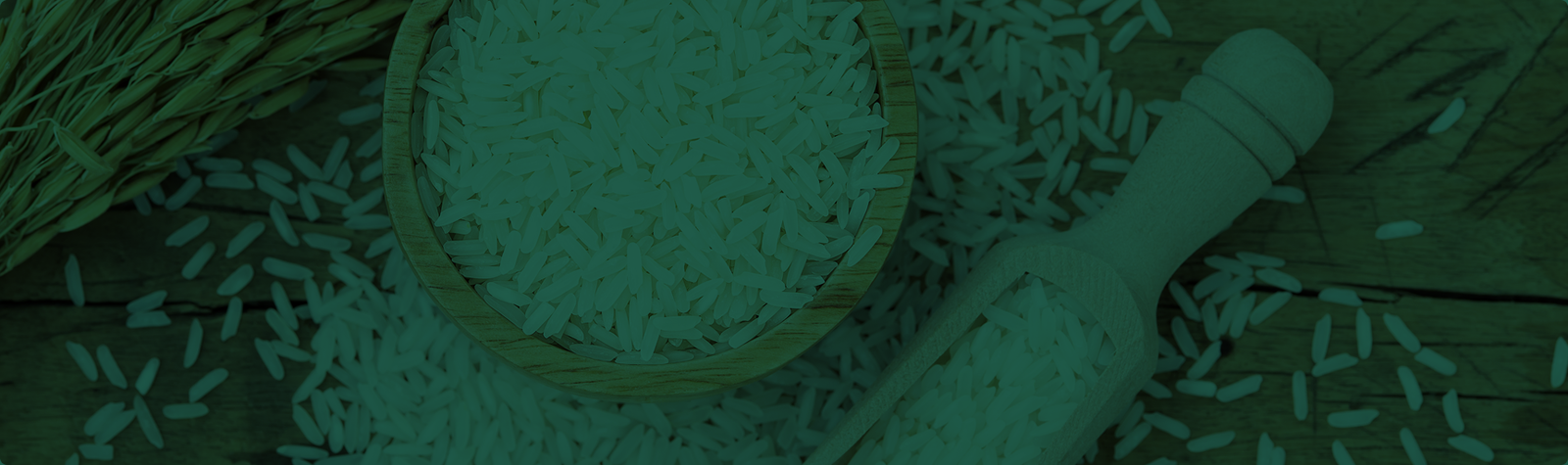 Export Process Background